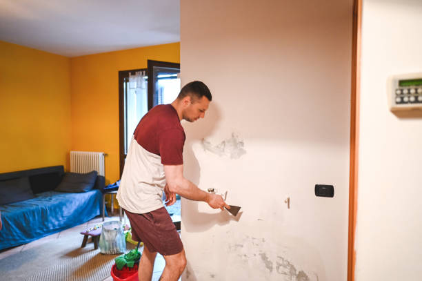 Best Certified Mold Removal  in Madisonville, LA